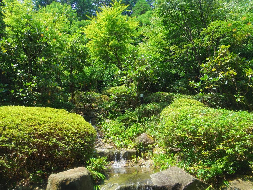 Hotel Hakone Gora Onsen Yumenoyu Zewnętrze zdjęcie