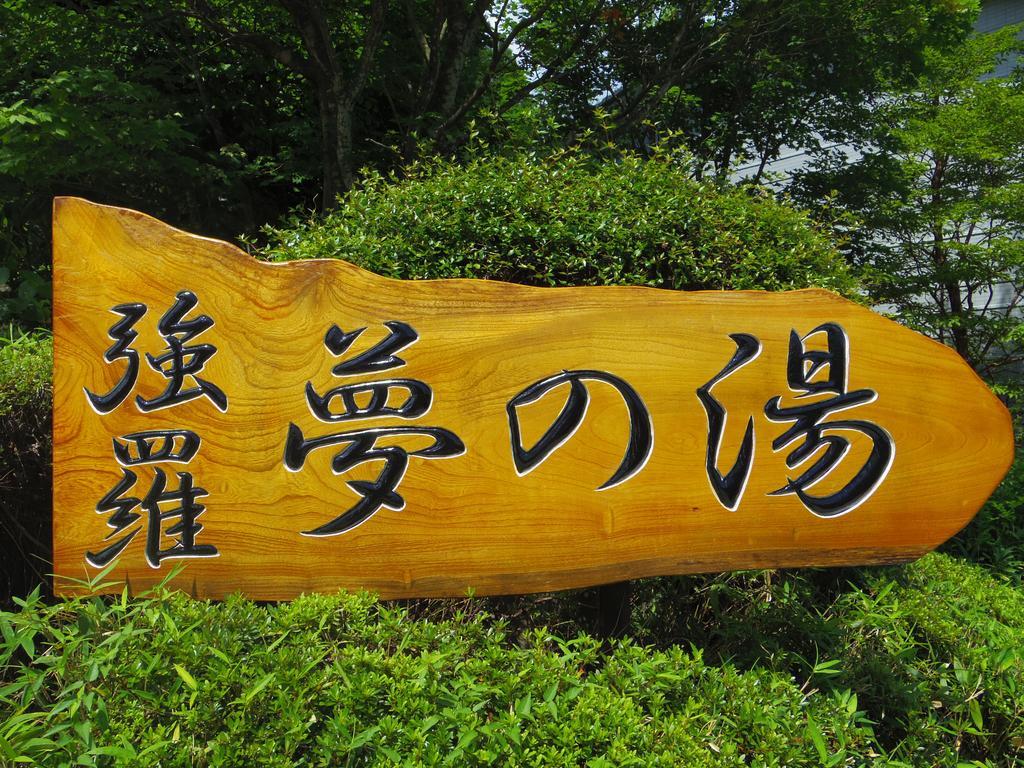 Hotel Hakone Gora Onsen Yumenoyu Zewnętrze zdjęcie